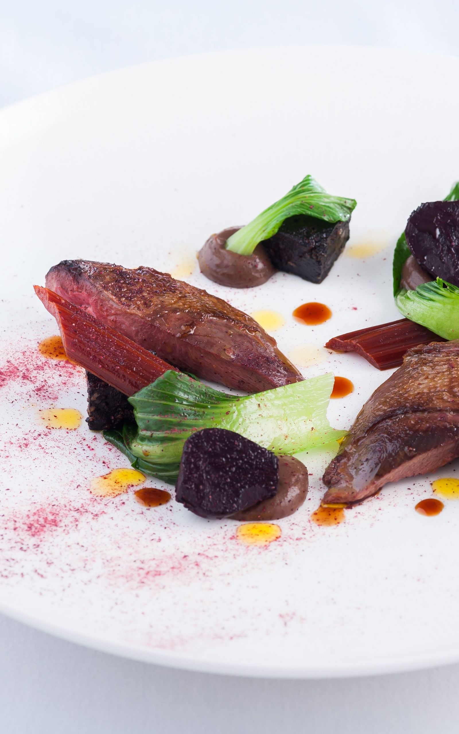 Baby Pigeon Food Recipe
 Roast wood pigeon with black pudding and baby beets