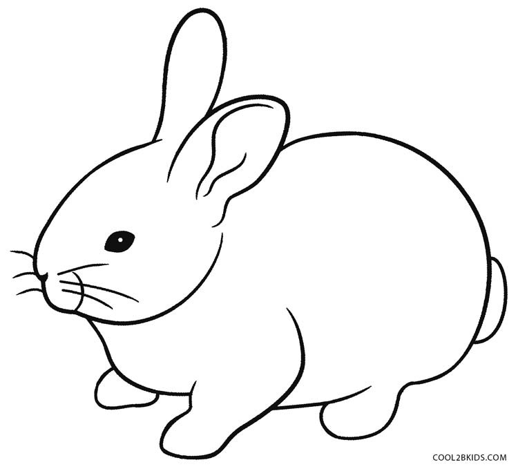 Baby Rabbit Coloring Pages
 Printable Rabbit Coloring Pages For Kids