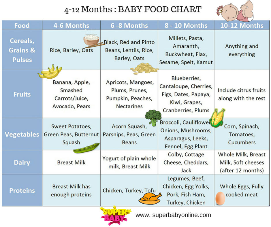 Baby Recipes 12 Months
 Indian Baby Food Chart 4 to 12 months with 45 recipes