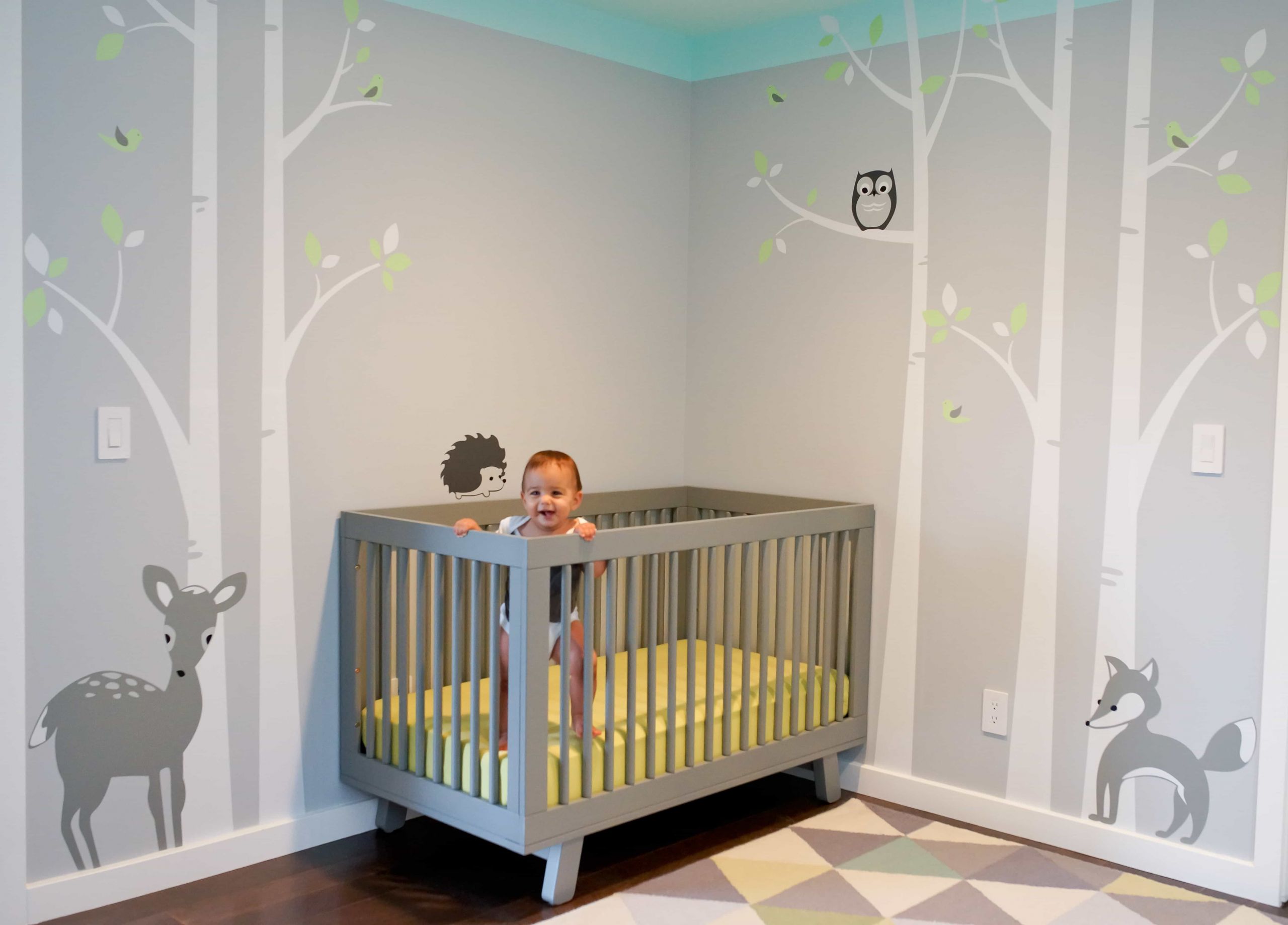 Baby Room Wall Decoration Ideas
 Minimalist Nursery Bedroom Furniture Design Ideas 5606