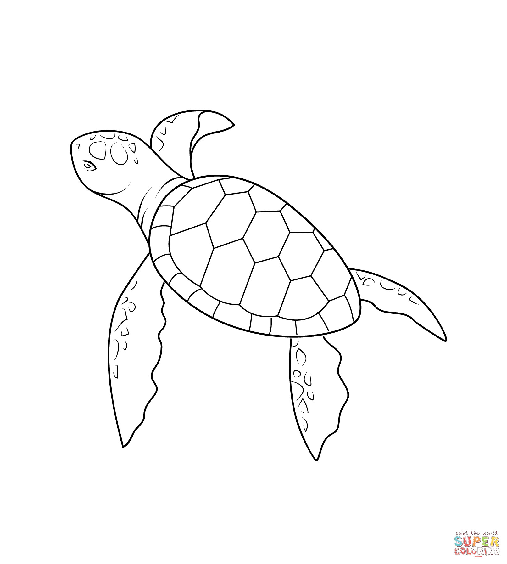 Baby Sea Turtle Coloring Pages
 Baby Turtle coloring page