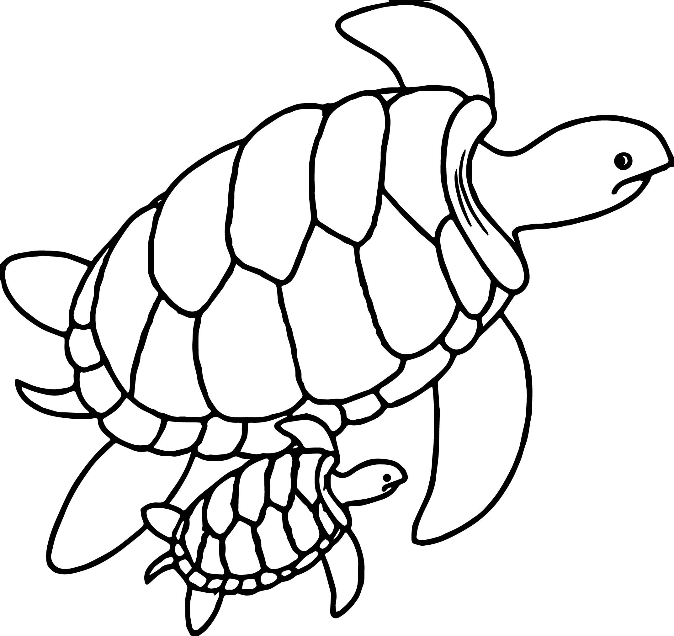Baby Sea Turtle Coloring Pages
 Cute Sea Turtle Mother And Baby Sea Turtles Swimming