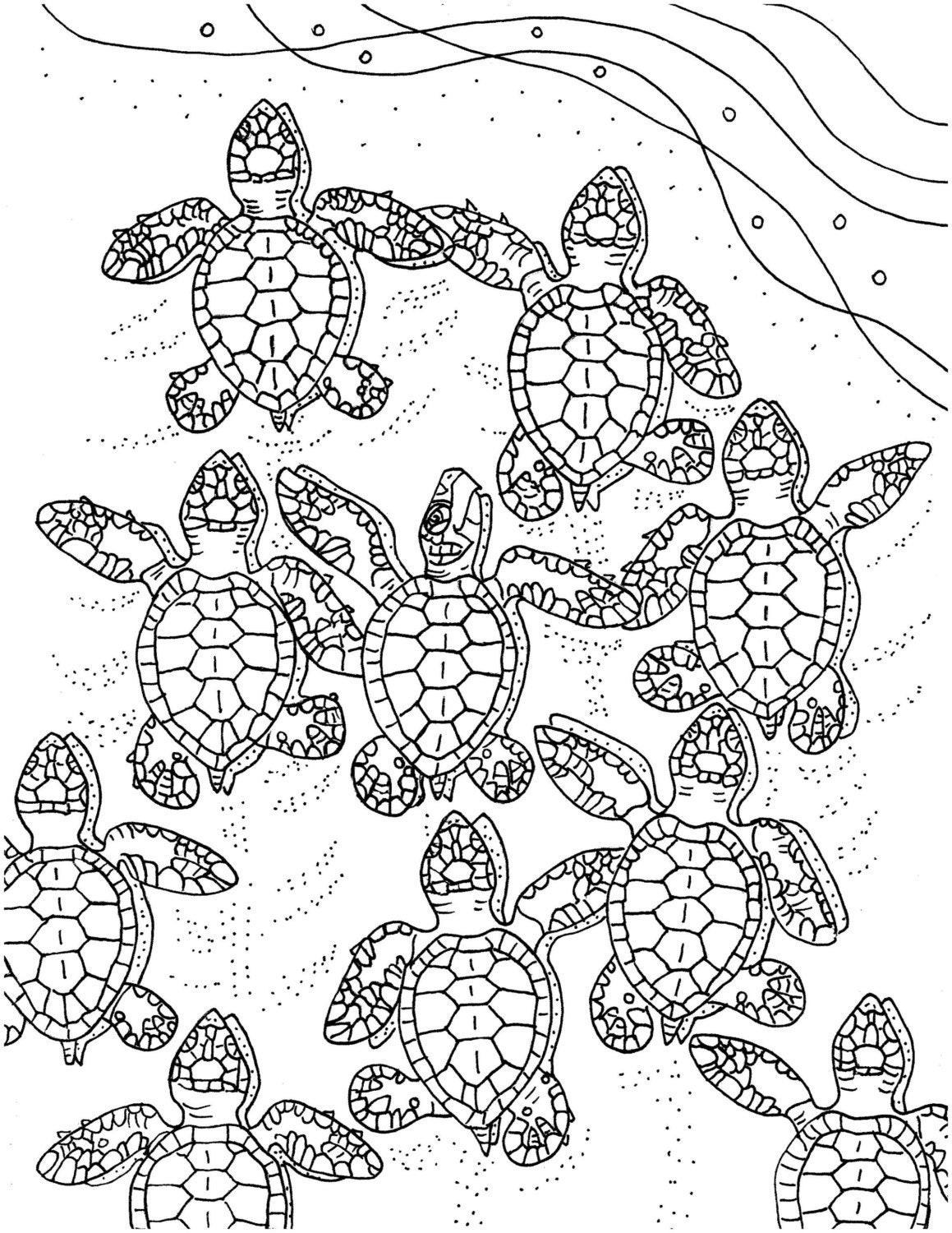 Baby Sea Turtle Coloring Pages
 Baby Sea Turtles coloring page embroidery pattern sea