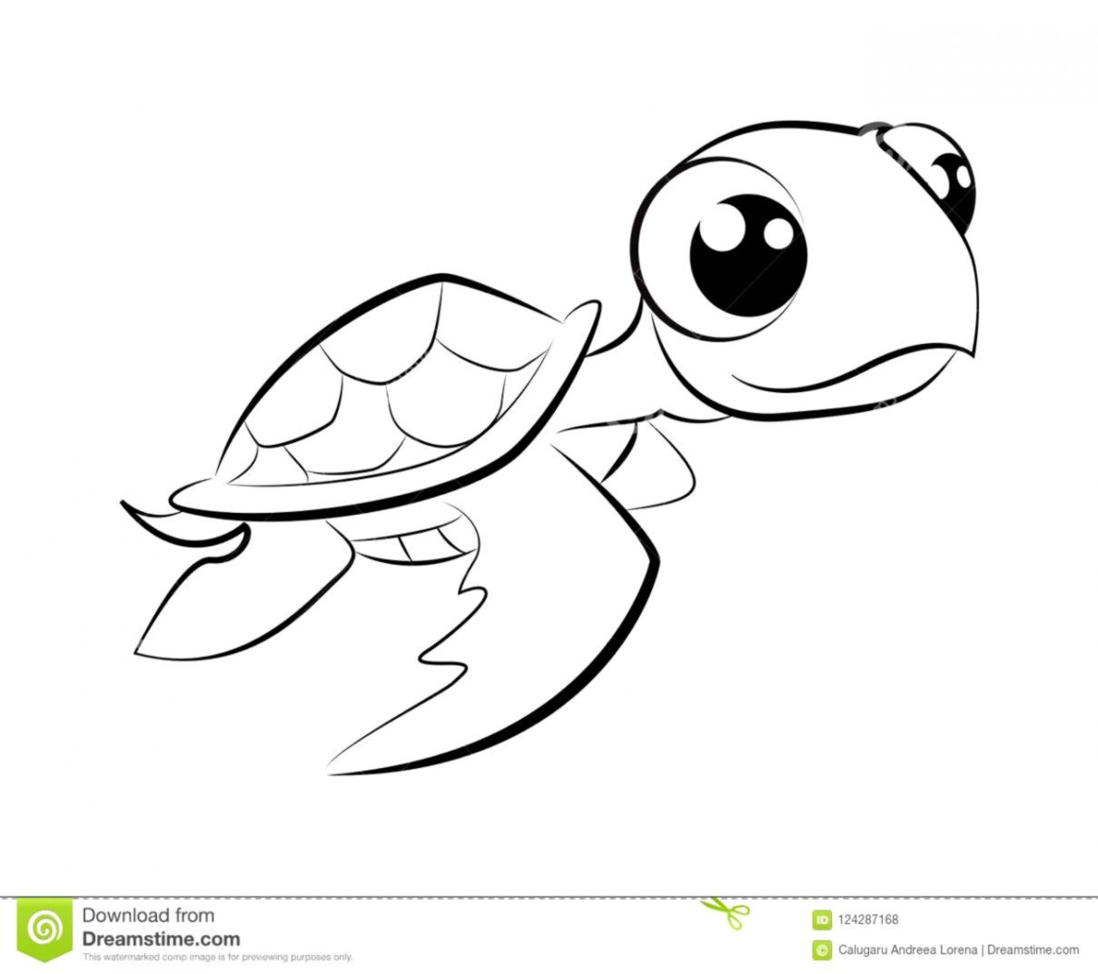 Baby Sea Turtle Coloring Pages
 Baby Turtle Drawing