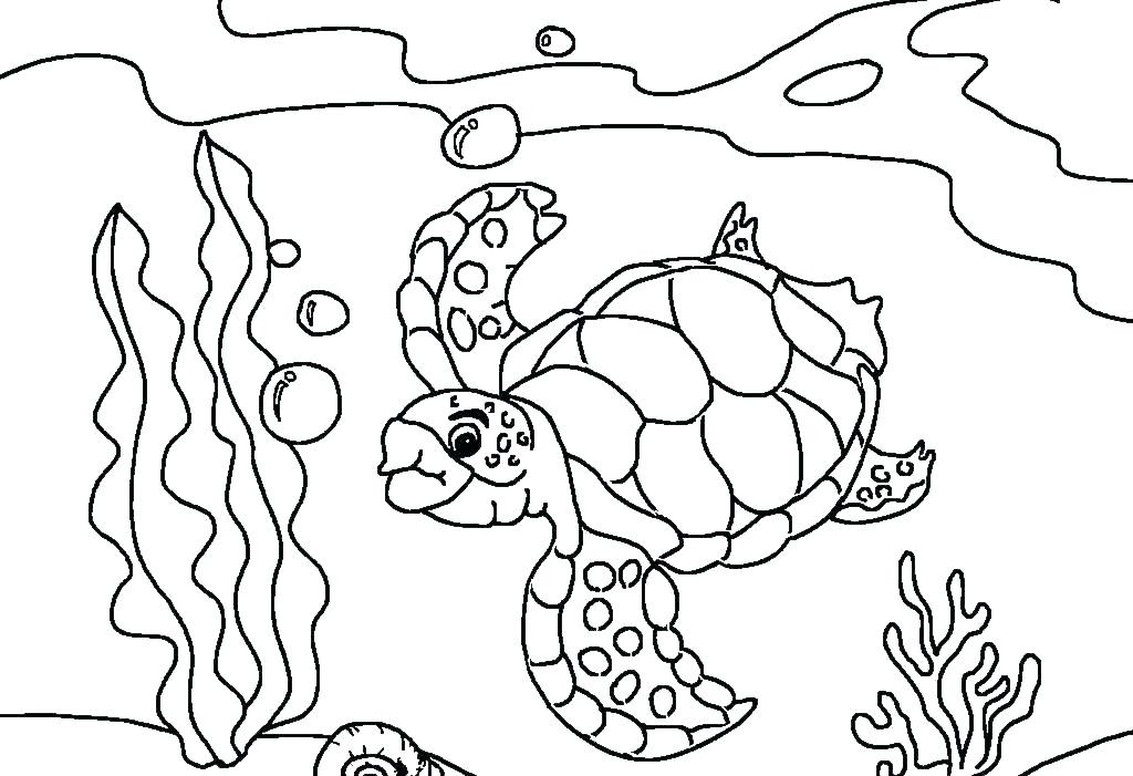 Baby Sea Turtle Coloring Pages
 Simple Turtle Coloring Pages Ideas For Kids