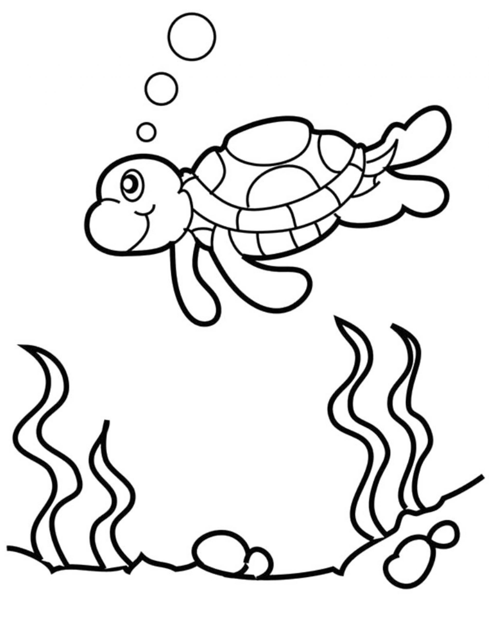 Baby Sea Turtle Coloring Pages
 cute baby turtle coloring pages With images