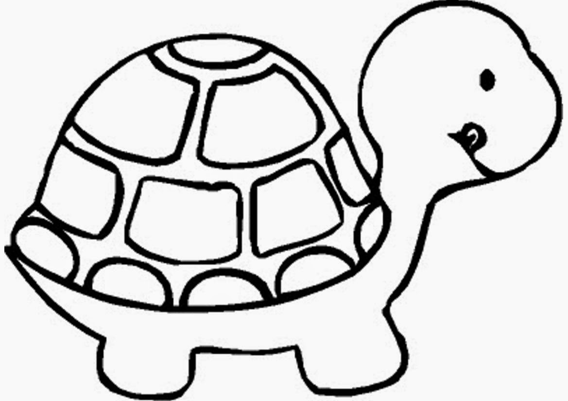 Baby Sea Turtle Coloring Pages
 Coloring Pages Turtles Free Printable Coloring Pages