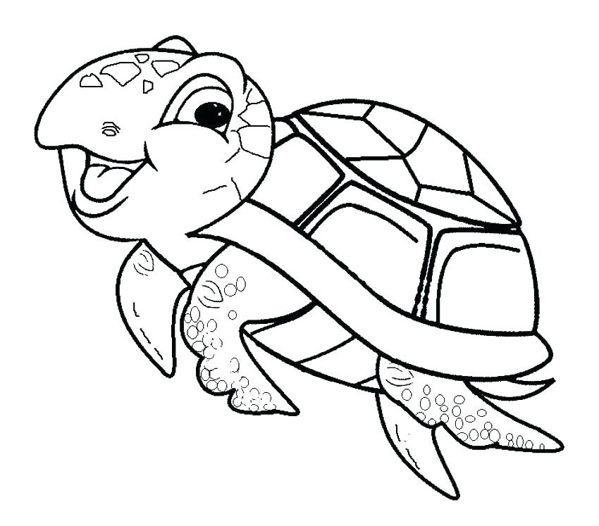 Baby Sea Turtle Coloring Pages
 Cute Baby Sea Turtle Coloring Page Free Printable