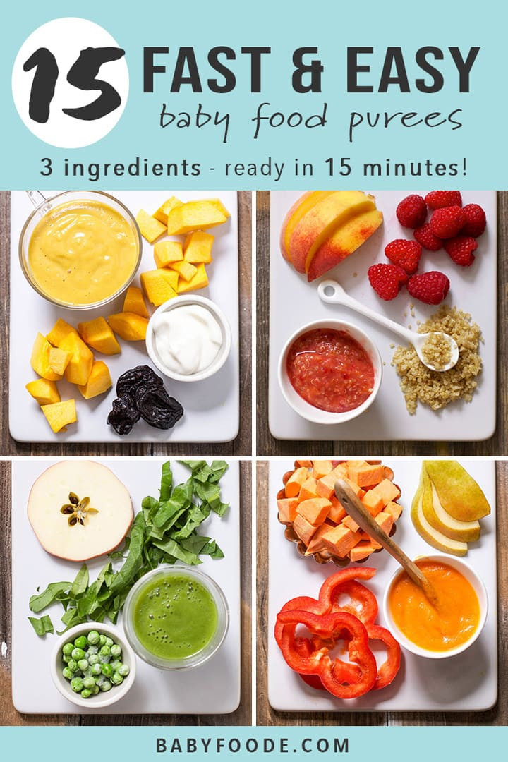 Baby Snacks Recipes
 15 Fast Baby Food Recipes made in under 15 minutes