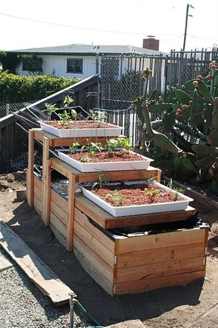 Backyard Aquaponic Systems
 Backyard Aquaponic Gardening System Benefits