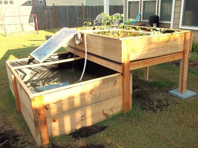 Backyard Aquaponic Systems
 Backyard Aquaponics System by Renewable DIY deleted