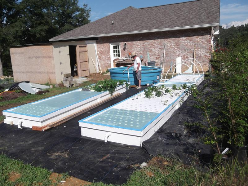 Backyard Aquaponic Systems
 Backyard Aquaponics s Friendly Aquaponics