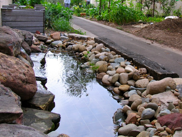 Backyard Aquaponic Systems
 12 DIY Aquaponics System For Indoor And Backyard