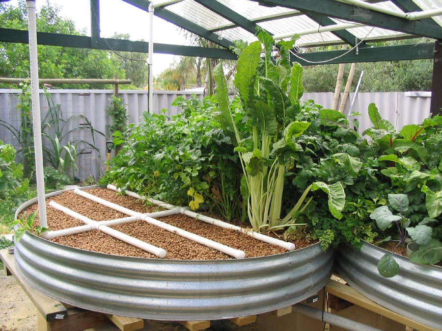 Backyard Aquaponic Systems
 Type of Systems Backyard Aquaponics