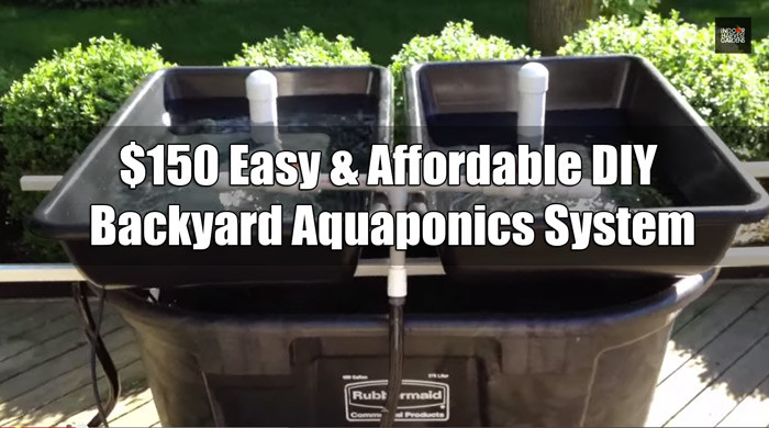 Backyard Aquaponic Systems
 $150 Easy & Affordable DIY Backyard Aquaponics System