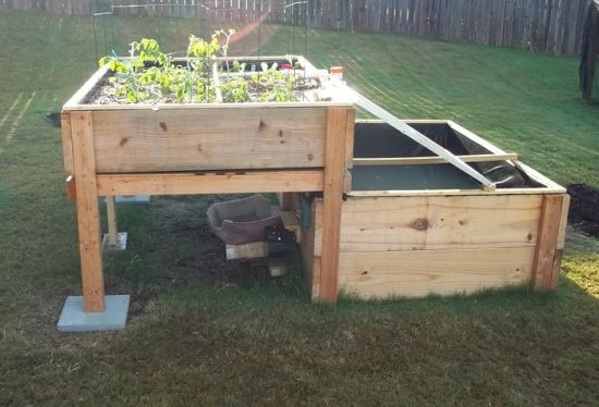 Backyard Aquaponic Systems
 Backyard Aquaponics System Design How You Can Boost Your