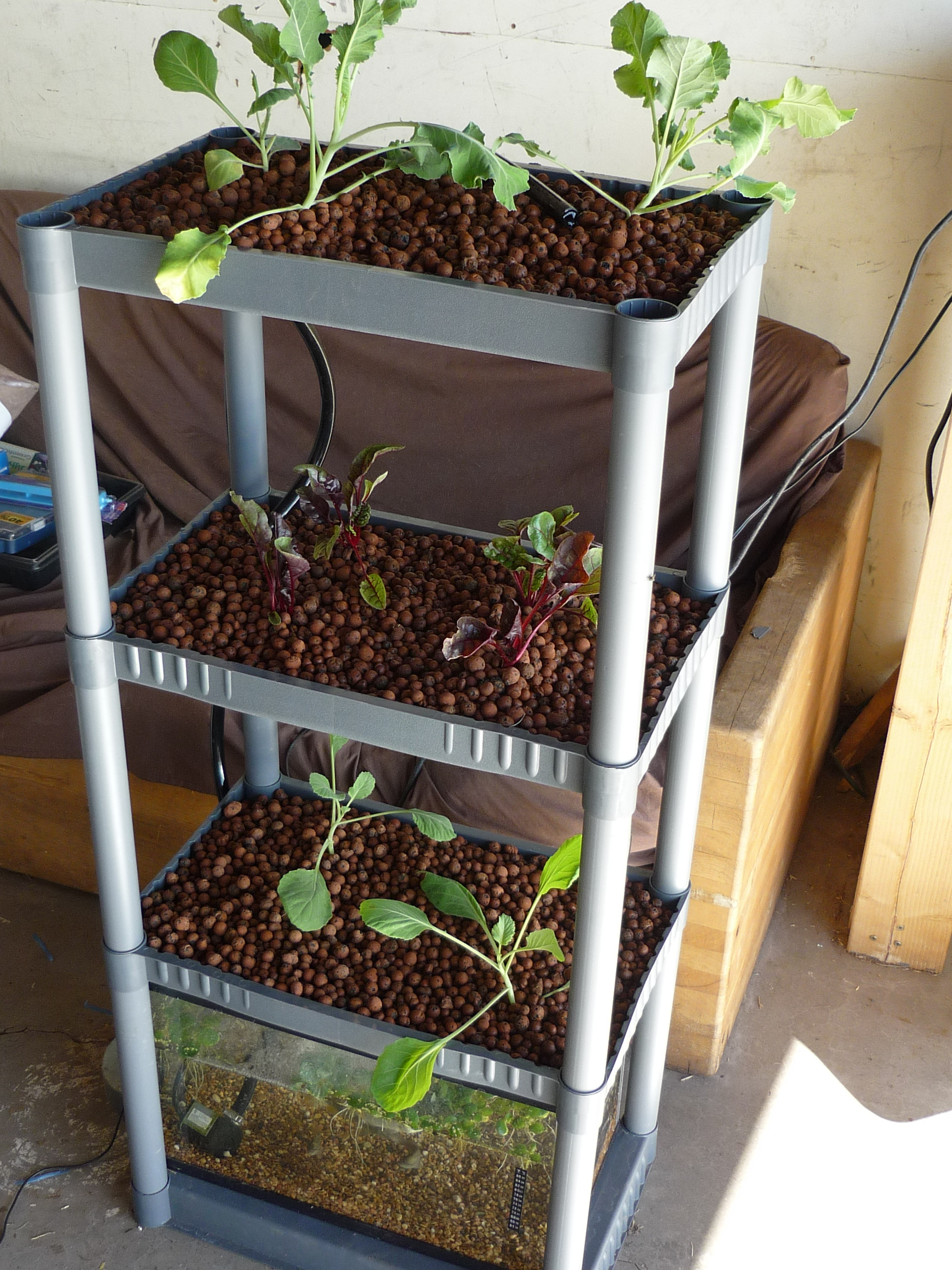 Backyard Aquaponic Systems
 12 DIY Aquaponics System For Indoor And Backyard