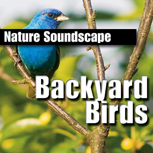 Backyard Birds Sounds
 Backyard Birds Nature Sounds ly by Nature Sounds on