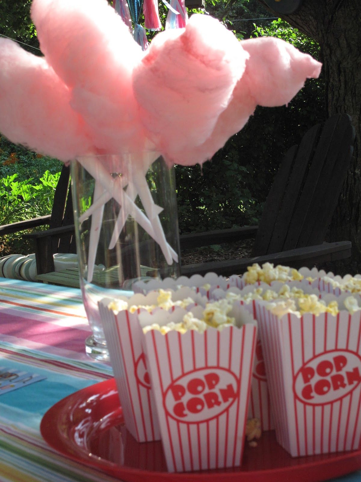 Backyard Birthday Party Ideas For 3 Year Old
 Scenes from a 6 year old birthday party Carnival