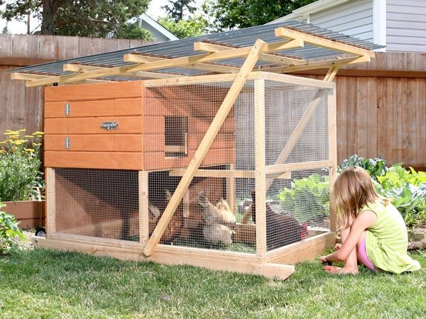 Backyard Chicken Coop Designs
 Chicken coops – plans design and ideas for your backyard