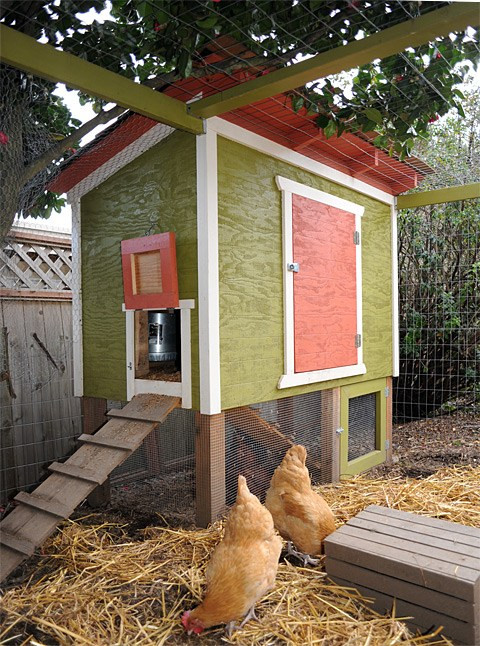 Backyard Chicken Coop Designs
 10 Free Backyard Chicken Coop Plans
