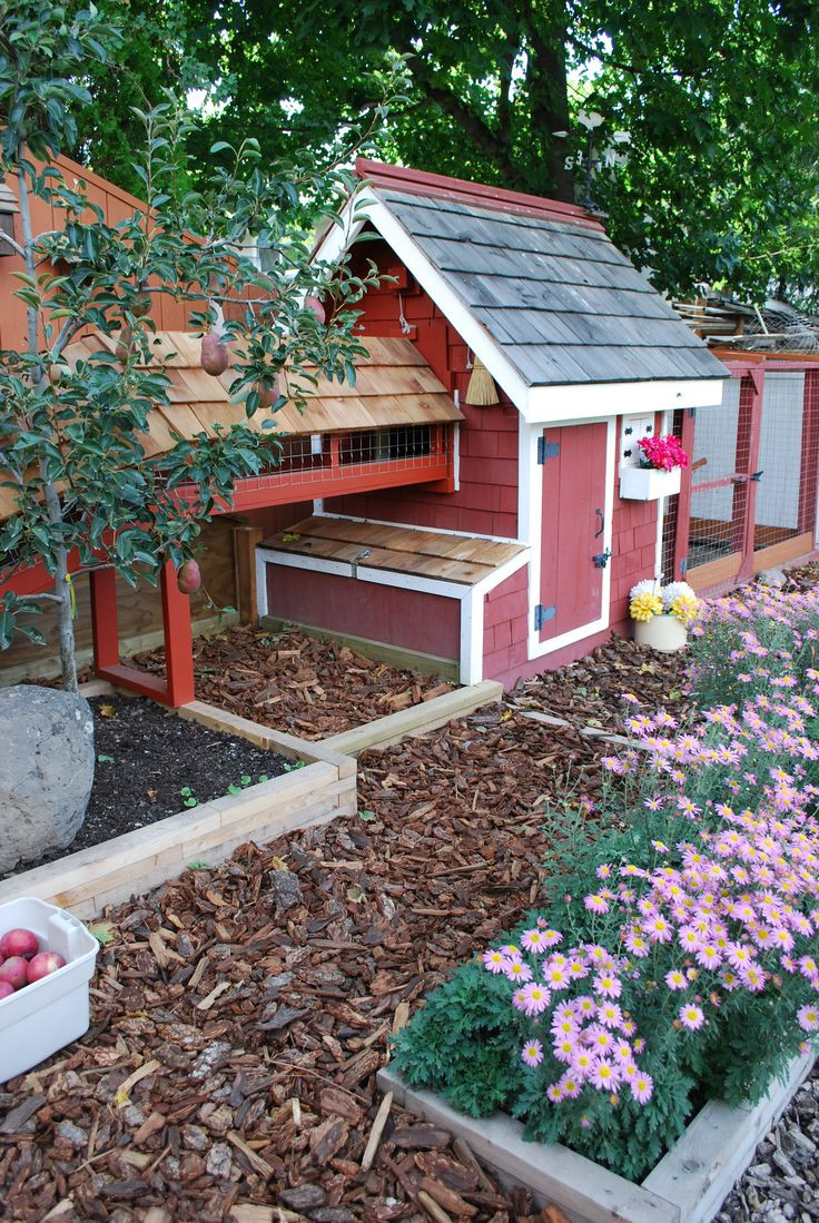 Backyard Chicken Coop Designs
 My backyard chicken coop OUTDOOR ChicKen Coops