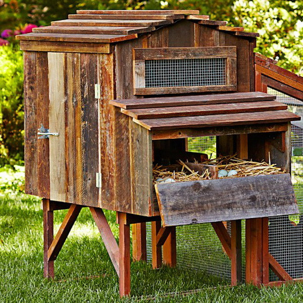 Backyard Chicken Coop Designs
 Chicken Coop Ideas Designs And Layouts For Your Backyard