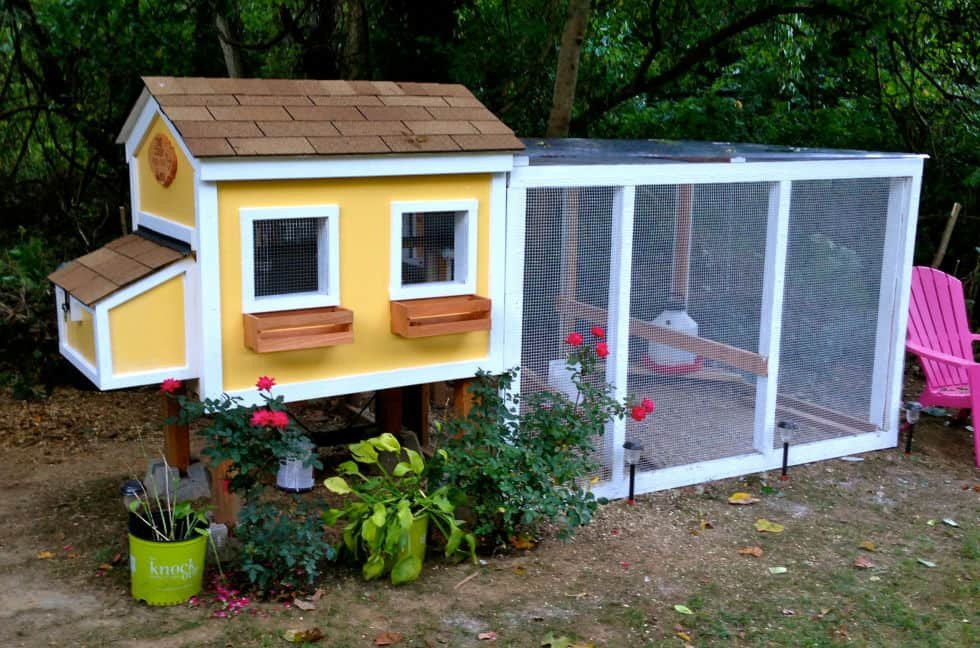 Backyard Chicken Coop Designs
 Chicken Coops You Will Go Totally Clucky Over