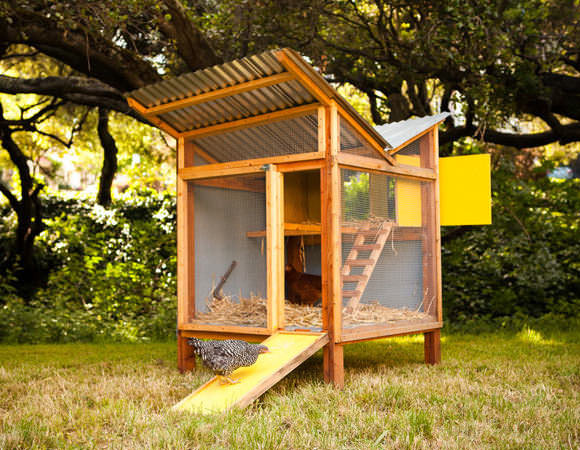 Backyard Chicken Coop Designs
 DIY Chicken Coops Even Your Neighbors Will Love
