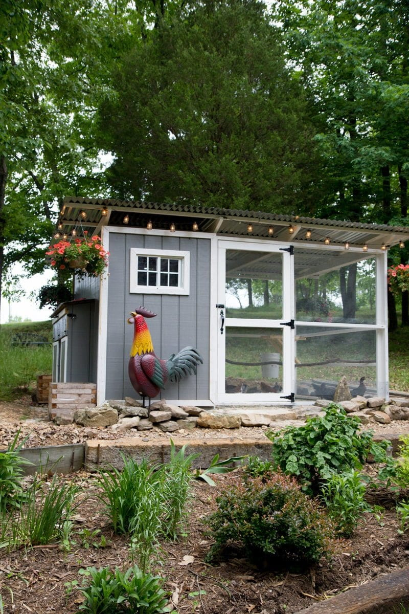 Backyard Chicken Coop Designs
 How to Start Raising Backyard Chickens in 7 Simple Steps