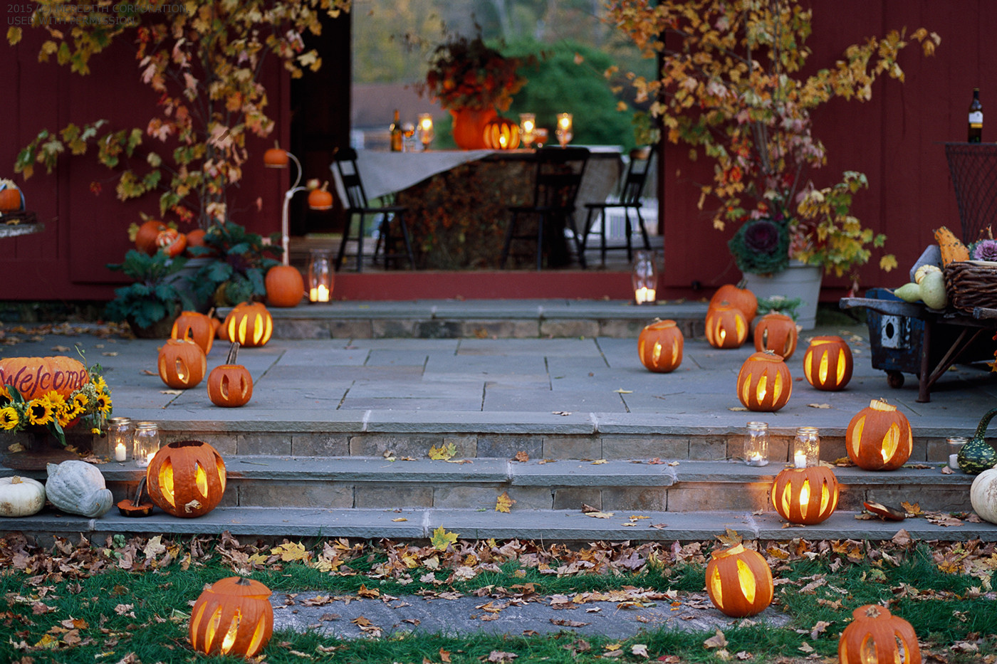 Backyard Fall Party Ideas
 How to Host a Fall Backyard Party Page 2 of 10 Better