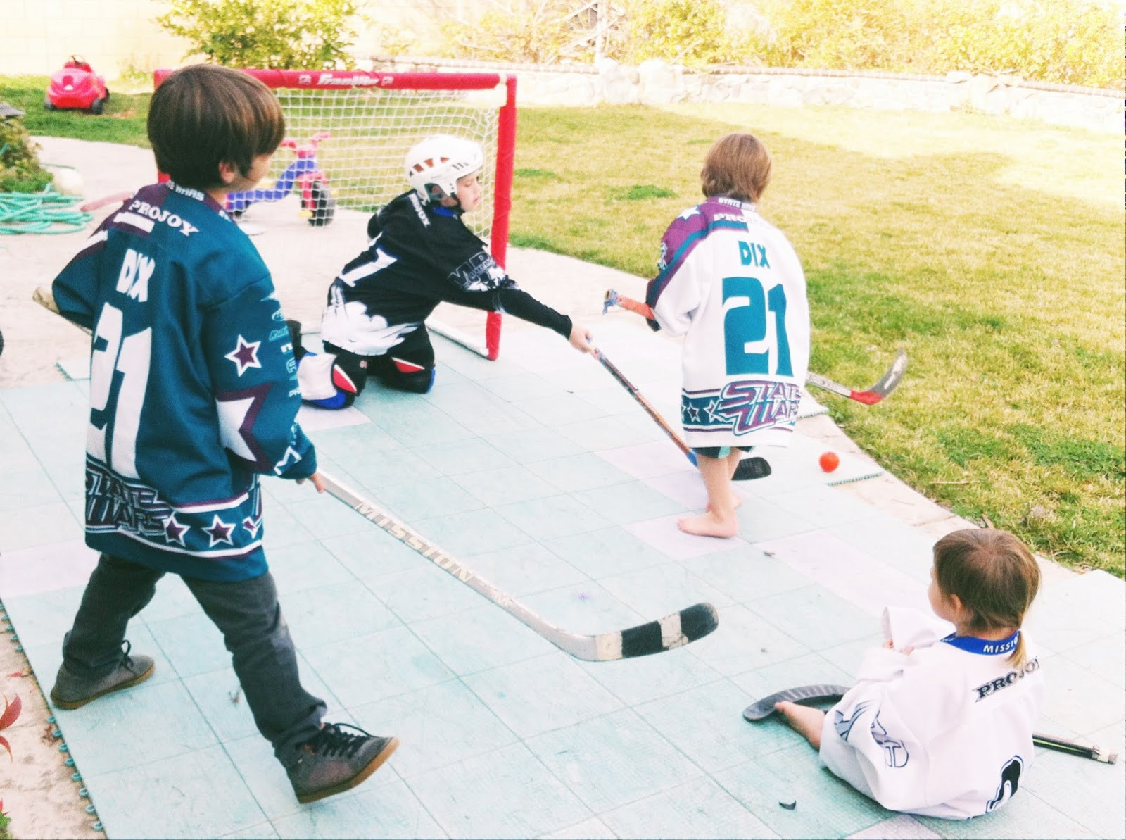 Backyard Hockey Game
 Sweet Dreams are Made of These the legacy of backyard sports