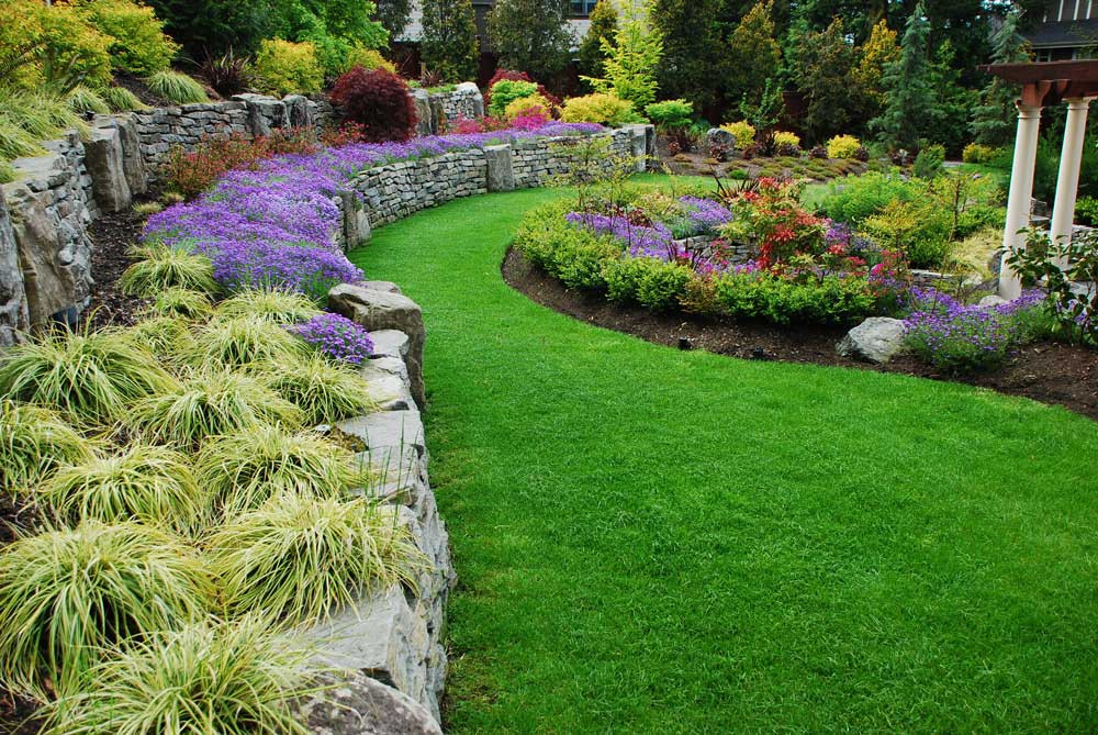 Backyard Landscaping Photo
 Surrey Backyard Makeover by Pacifica Landscape Works