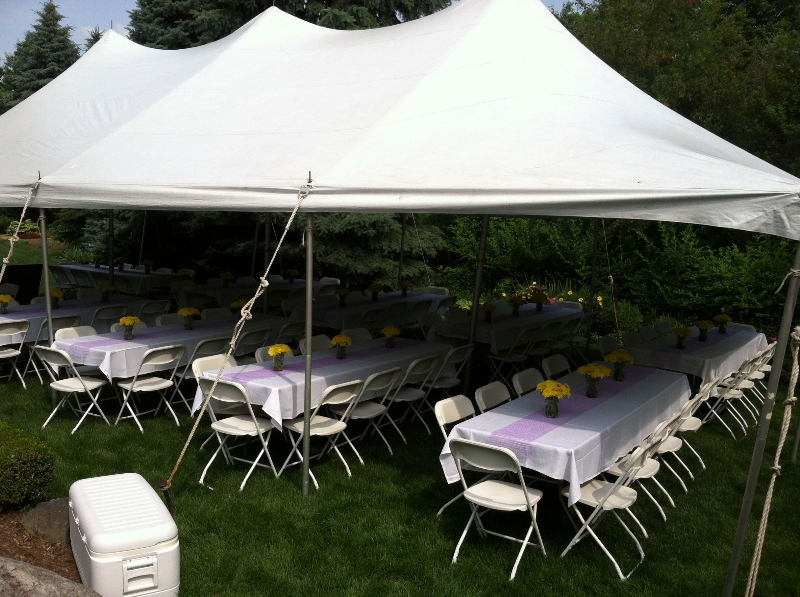 Backyard Party Ideas For Graduation
 Outdoor Graduation party theme Outdoor