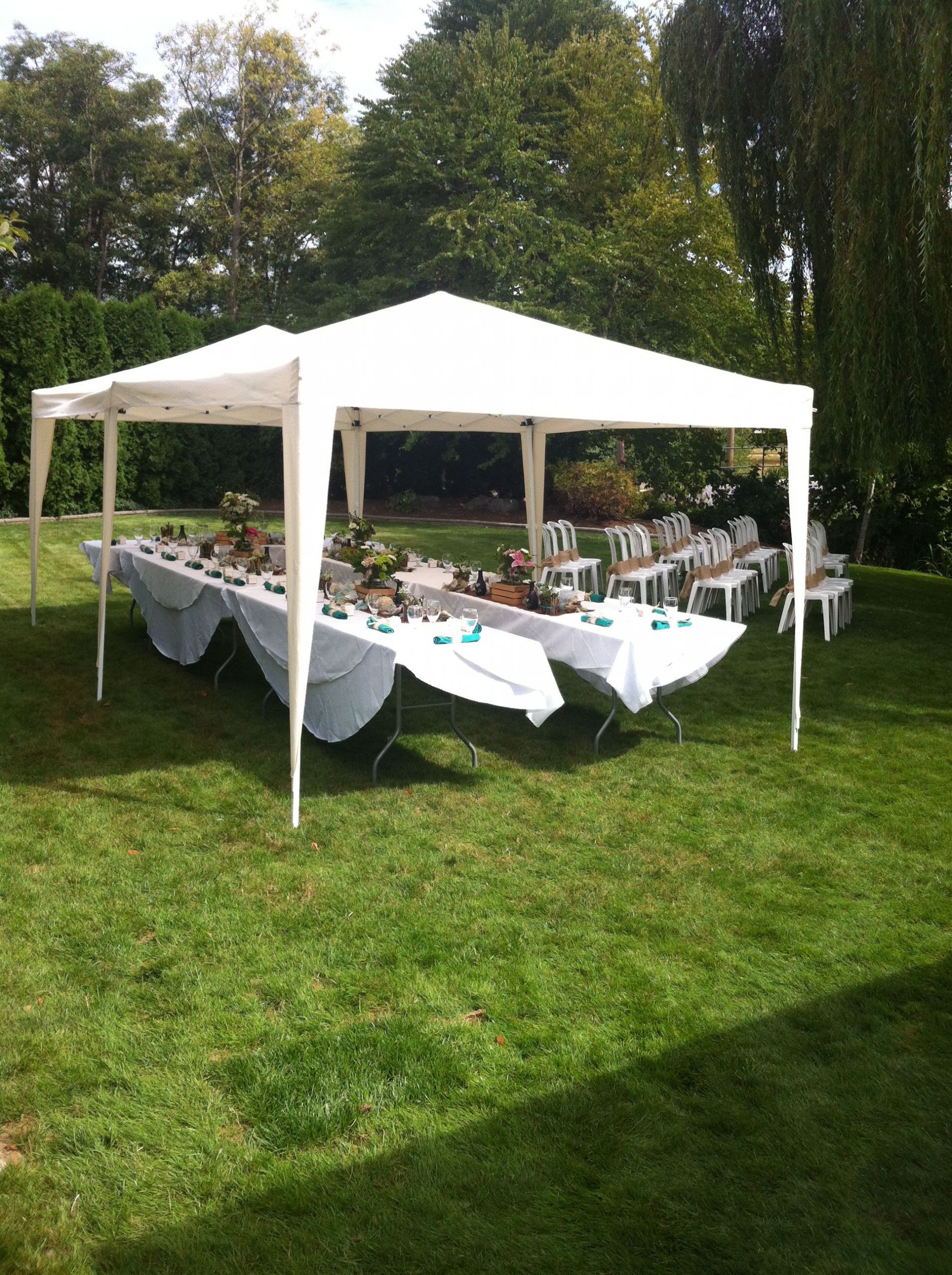 Backyard Tent Party Ideas
 tent set up for small backyard wedding …