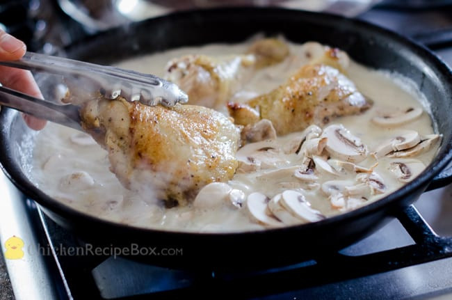 Baked Chicken Legs With Cream Of Mushroom Soup
 cream of mushroom chicken legs