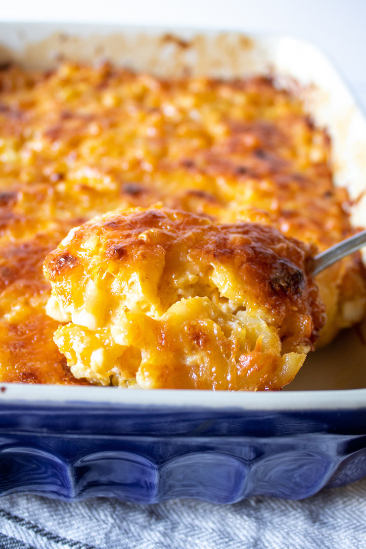 Baked Macaroni And Cheese Recipe With Eggs
 Southern Baked Macaroni and Cheese the hungry bluebird