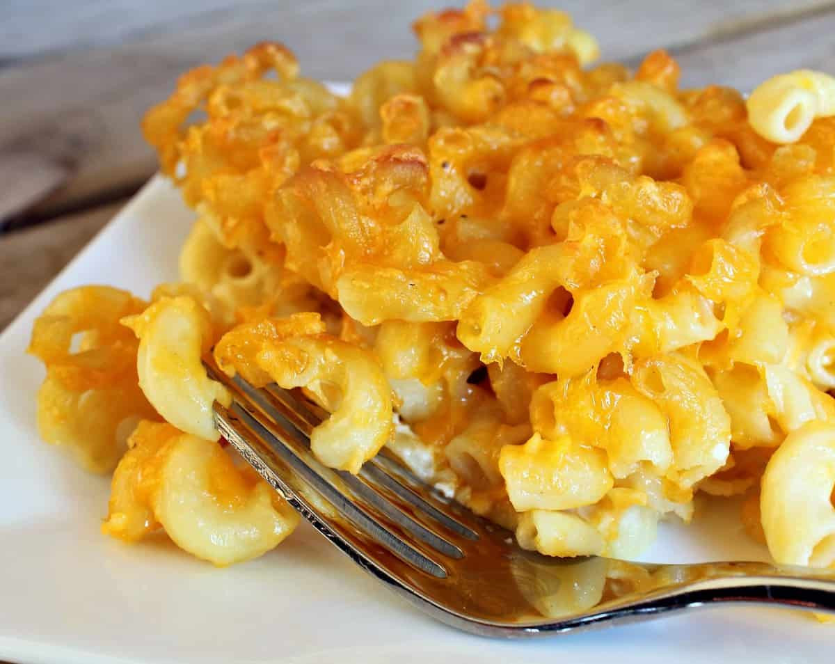 Baked Macaroni And Cheese With Spaghetti Noodles
 Easiest Ever Baked Macaroni and Cheese with VIDEO