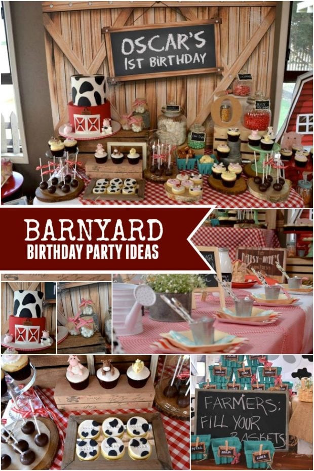 Barnyard Birthday Party Ideas
 Down on the Farm A Boy s Rustic Barnyard 1st Birthday