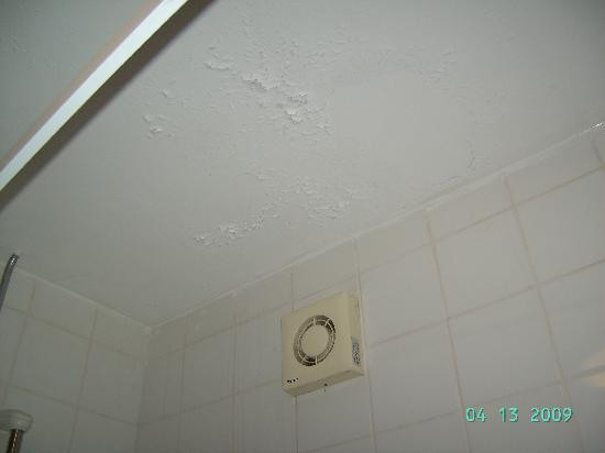 Bathroom Ceiling Paint Peeling
 Water damage to the wall 1 Picture of The Barford Inn