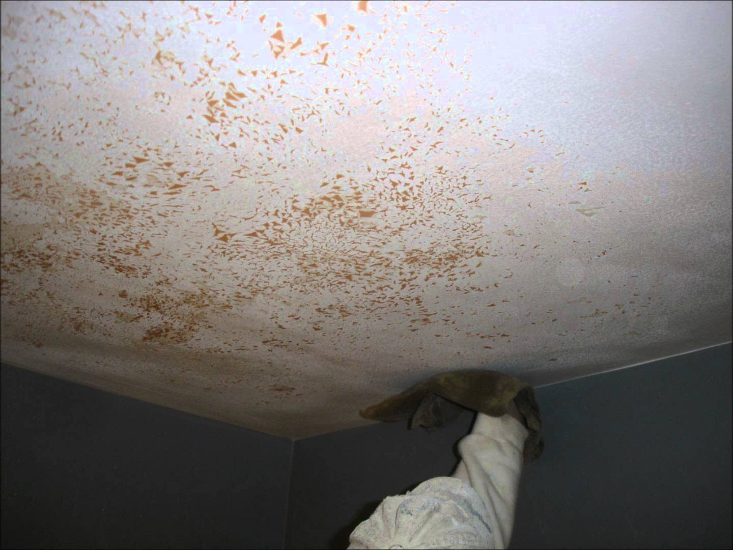 Bathroom Ceiling Paint Peeling
 How to Repair Peeling Paint on Bathroom Walls and Ceiling