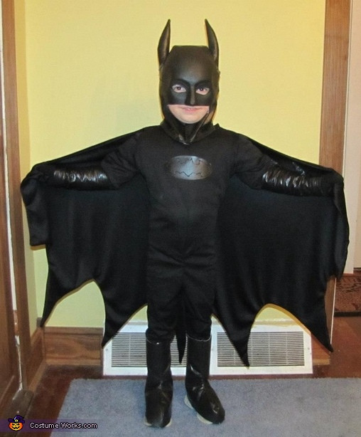 Batman Costume DIY
 Batman Robin and Poison Ivy Costumes 4 10