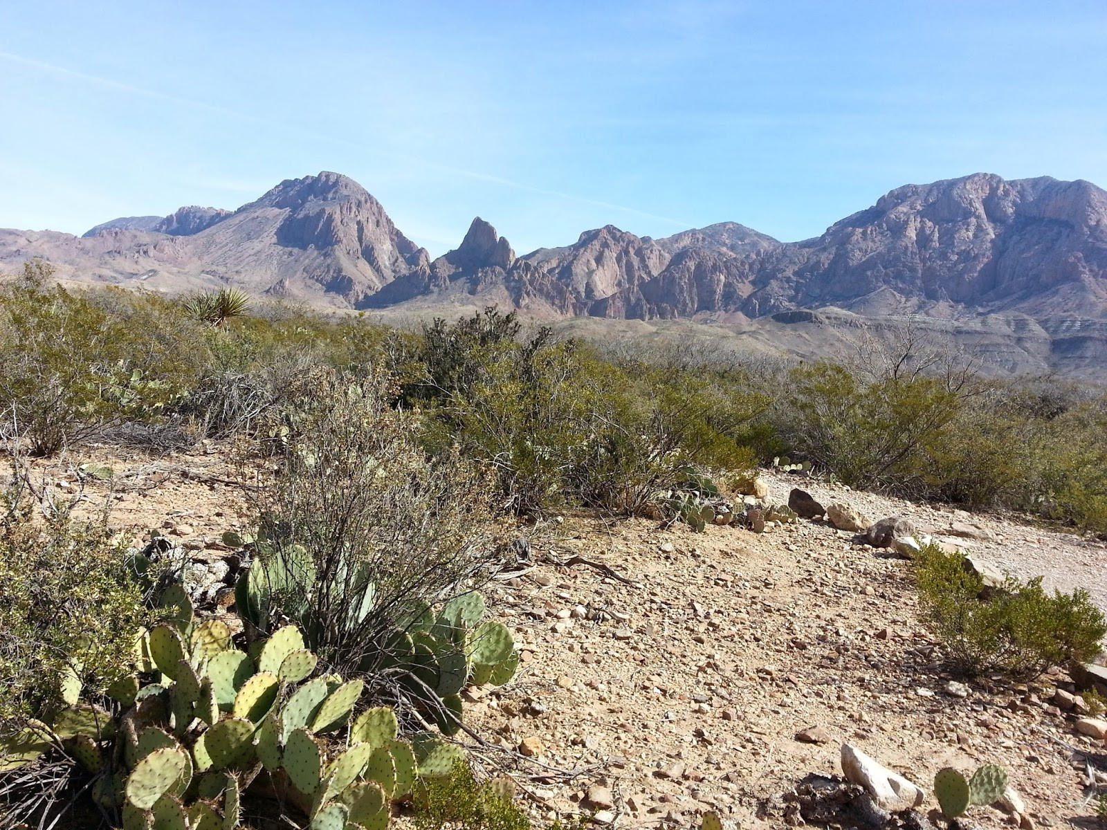 Beautiful Nails Big Bend
 Texas Mountain Trail Daily Big Bend Heritage Hike