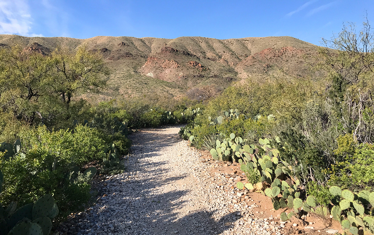 Beautiful Nails Big Bend
 Sam Nail Ranch Homestead And Trail At Big Bend National Park