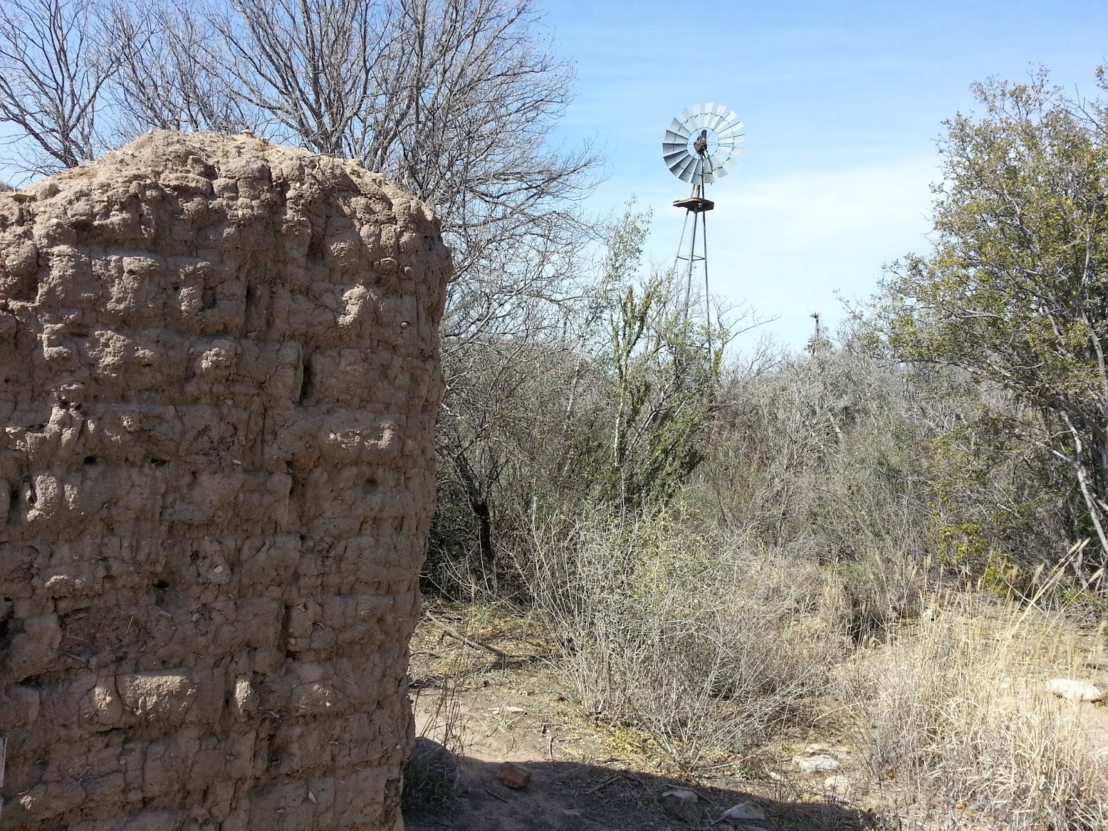 Beautiful Nails Big Bend
 Texas Mountain Trail Daily Big Bend Heritage Hike