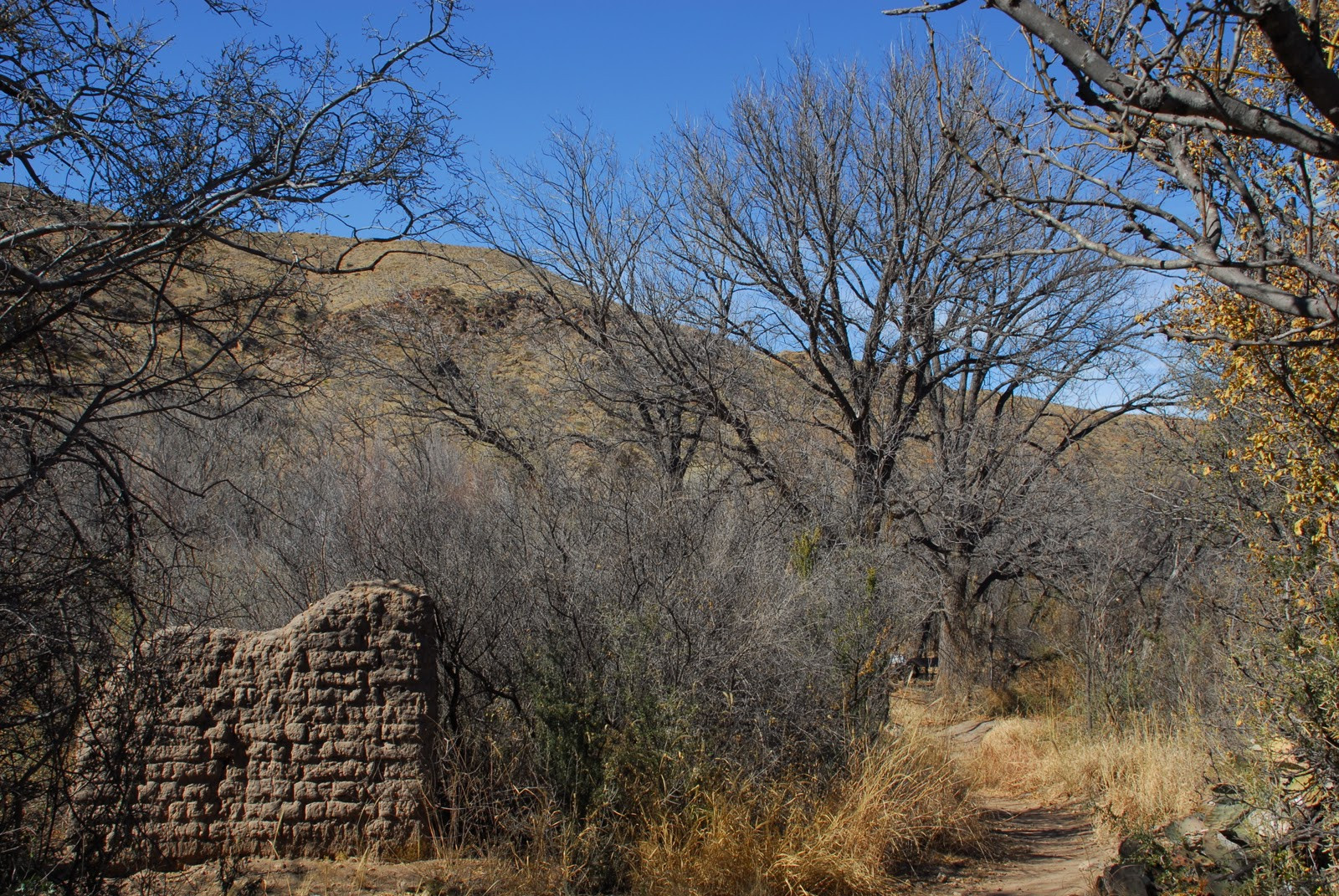 Beautiful Nails Big Bend
 Texas Mountain Trail Daily March 2011