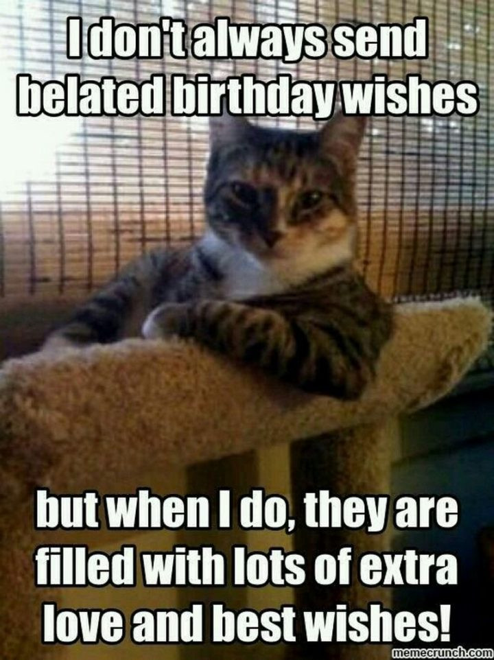 Belated Birthday Wishes Funny
 85 Happy Belated Birthday Memes for When You Just Forgot