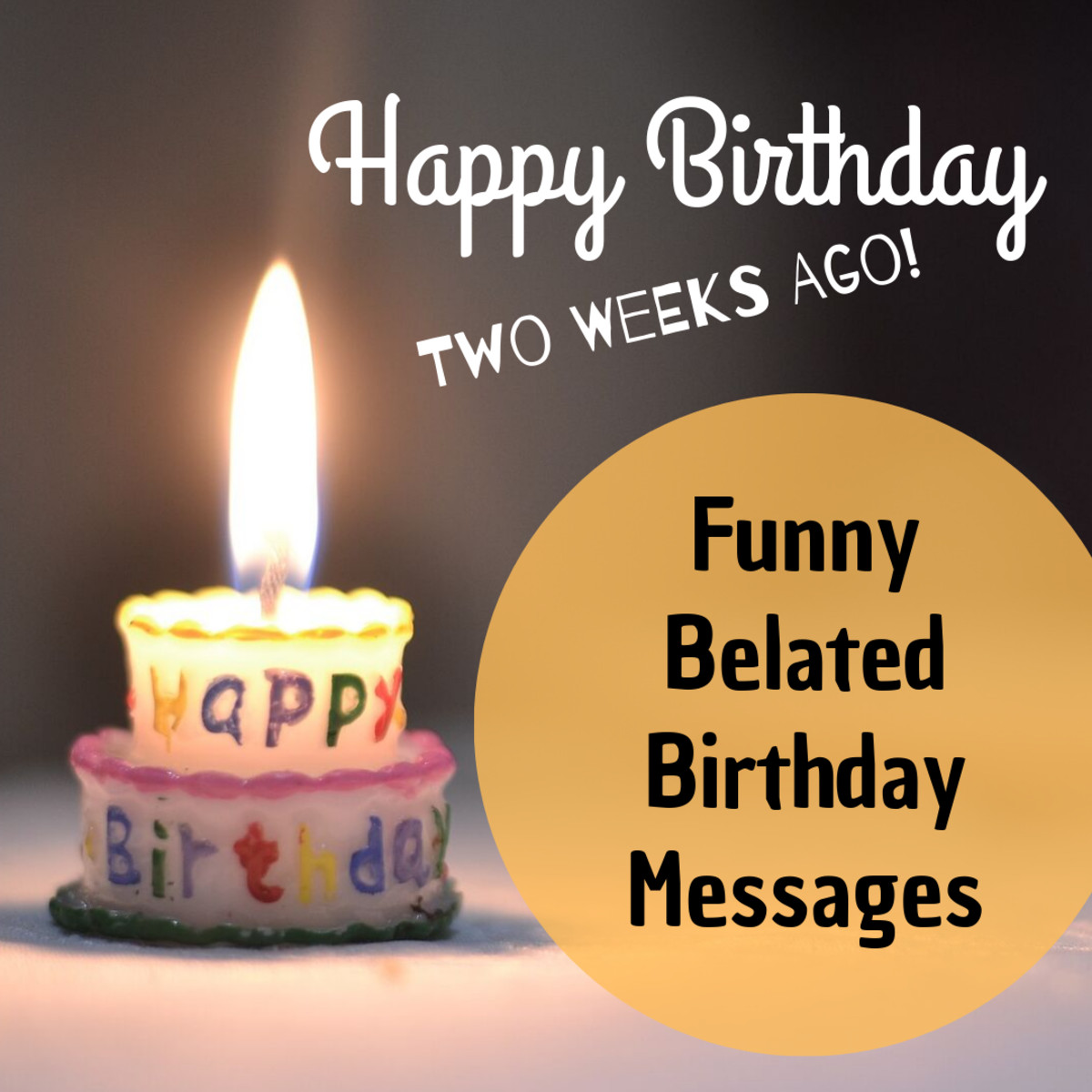 Belated Birthday Wishes Funny
 Funny Belated Happy Birthday Wishes Late Messages and