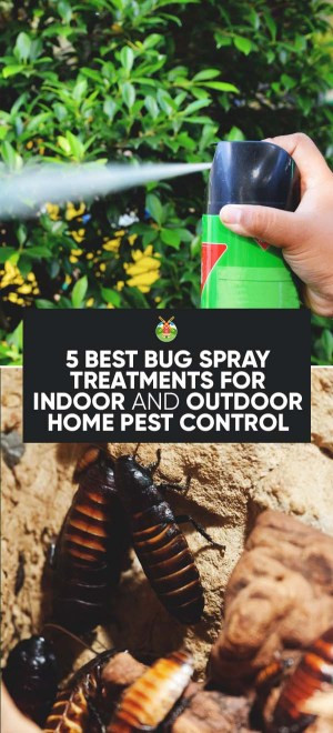 Best Backyard Bug Control
 5 Best Bug Spray Treatments for Indoor and Outdoor Home