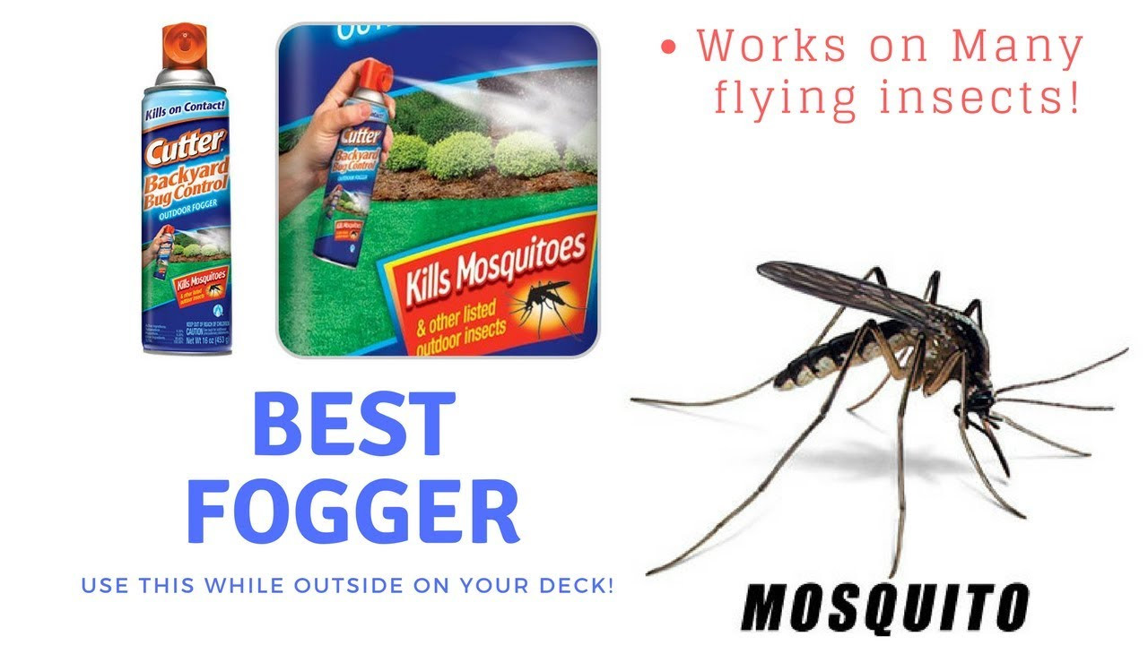 Best Backyard Bug Control
 BEST BUG CONTROL BACKYARD FOGGER